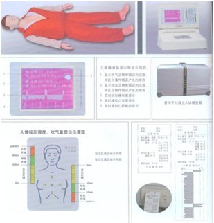 心肺復蘇訓練模擬人